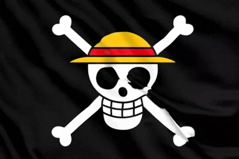 One Piece Flag Logo Mirror