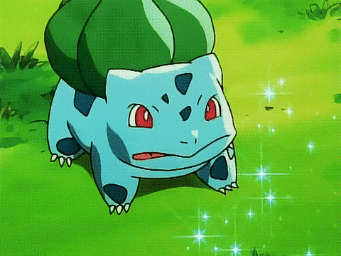 The Best Starter Pokemon Mirror