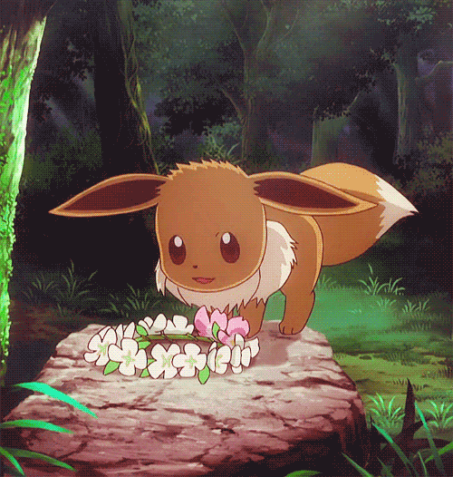 Eevee Pokemon Mirror